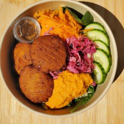 Bol Falafel - Poké bowl universités